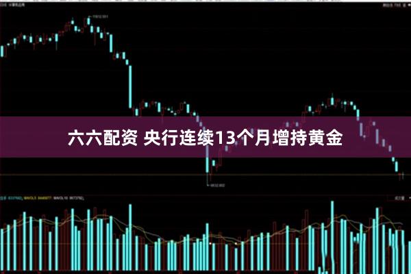 六六配资 央行连续13个月增持黄金